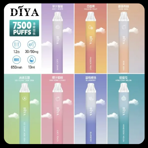 DIYA 叮丫 7500口 一次性電子煙｜13ML 大煙量｜Type-C 充電｜台灣現貨